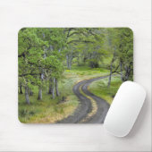Landstraße durch Bäume, Oregon Mousepad (Mit Mouse)