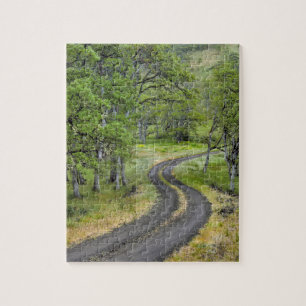 Landstraße durch Bäume, Oregon Puzzle