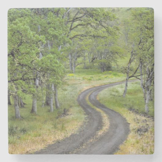 Landstraße durch Bäume, Oregon Steinuntersetzer (Vorderseite)