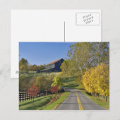 Landstraße durch die Region Bluegrass in Kentucky Postkarte (Vorne/Hinten)