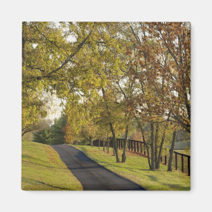 Landstraße durch die Region Bluegrass Kentucky 2 Magnet