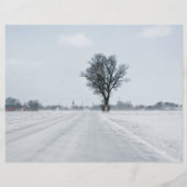 Landstraße Flyer (Hinten)