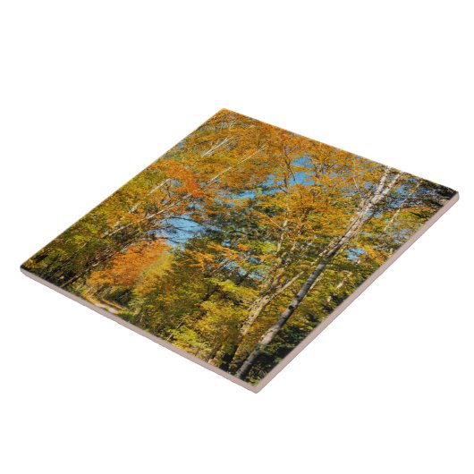 Landstrasse Herbstfarben New Hampshire Fliese (Seite)