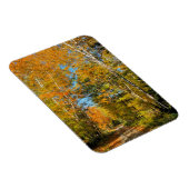 Landstrasse Herbstfarben New Hampshire Magnet (Rechte Seite)