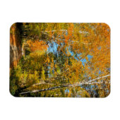 Landstrasse Herbstfarben New Hampshire Magnet (Horizontal)
