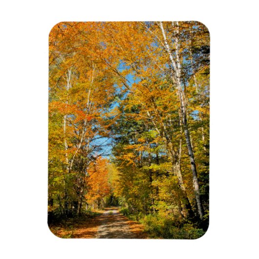 Landstrasse Herbstfarben New Hampshire Magnet (Vertikal)