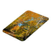 Landstrasse Herbstfarben New Hampshire Magnet (Linke Seite)