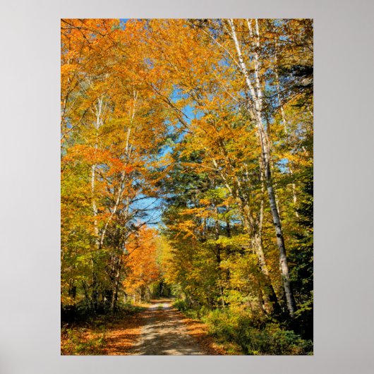 Landstrasse Herbstfarben New Hampshire Poster (Vorne)