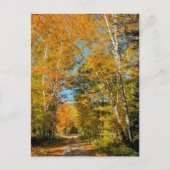 Landstrasse Herbstfarben New Hampshire Postkarte (Vorderseite)