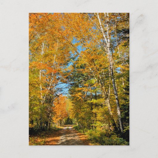 Landstrasse Herbstfarben New Hampshire Postkarte (Vorderseite)