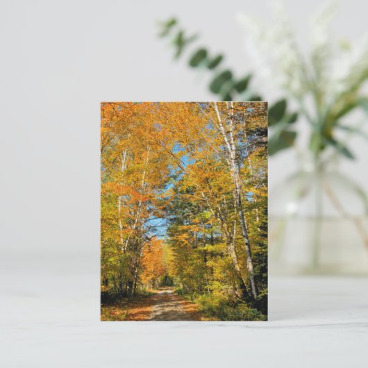 Landstrasse Herbstfarben New Hampshire Postkarte (Stehend Vorderseite)