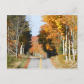 Landstrasse Hochspitzen See Placio Herbstleaves Postkarte (Vorderseite)