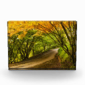 Landstraße im Herbst Fotoblock (Vorderseite)