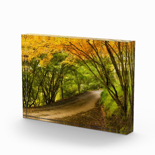 Landstraße im Herbst Fotoblock (Rechts)