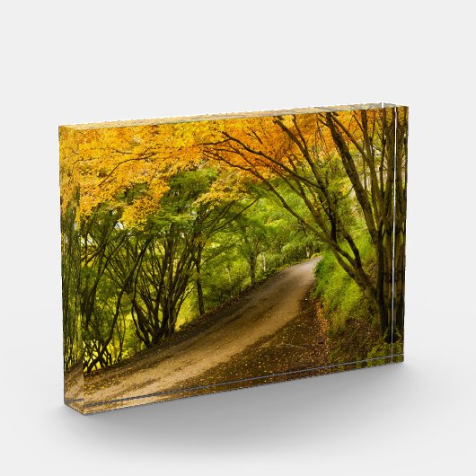 Landstraße im Herbst Fotoblock (Links)