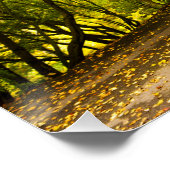 Landstraße im Herbst Poster (Ecke)