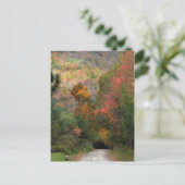 Landstraße im Herbst Postkarte (Stehend Vorderseite)