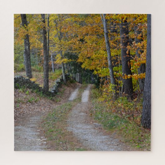 Landstraße im Herbst Puzzle (Vertikal)
