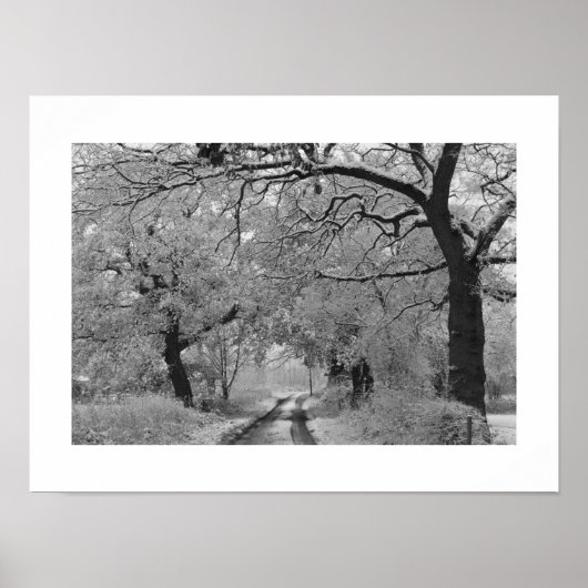 Landstraße im Winter: Cheshire, England Poster (Vorne)