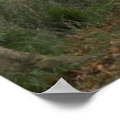 Landstraße in der Nähe der Stadt Poster (Ecke)