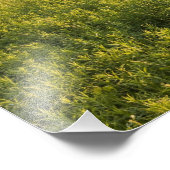 Landstraße in der Weide Sabins in Montpellier, Fotodruck (Ecke)