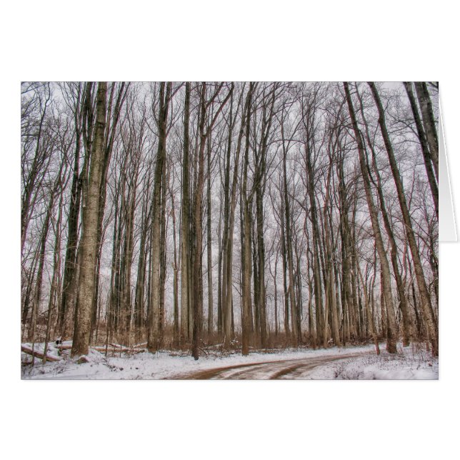 Landstraße in schneebedeckte Wälder (Vorderseite (Horizontal))