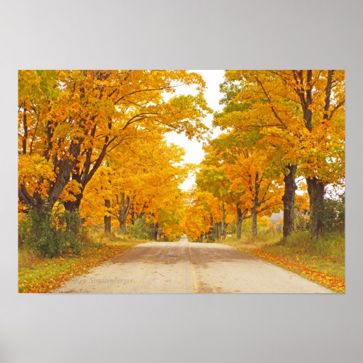 "LANDSTRASSE MIT MARIGOLD-FARBEN" POSTER (Vorne)