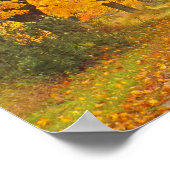 "LANDSTRASSE MIT MARIGOLD-FARBEN" POSTER (Ecke)