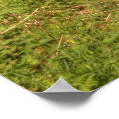 Landstraße Poster (Ecke)