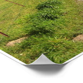 Landstraße Poster (Ecke)