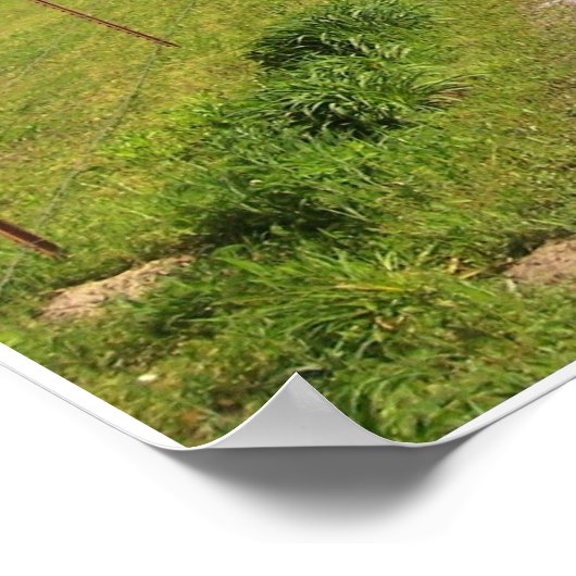 Landstraße Poster (Ecke)