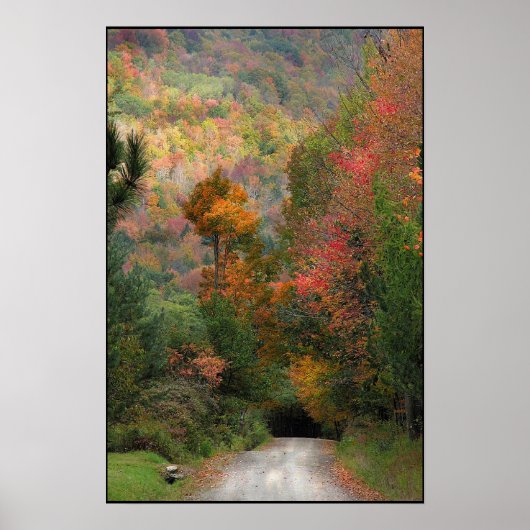 Landstraße Poster (Vorne)