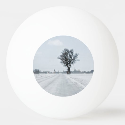 Landstraße Tischtennisball (Vorderseite)