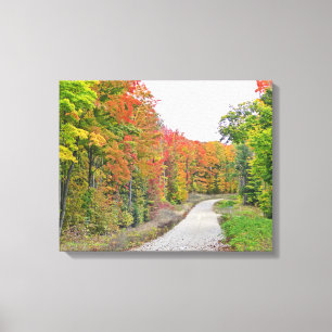 LANDSTRASSE ZWISCHEN BÄUMEN MIT FALL FOLIAG LEINWANDDRUCK