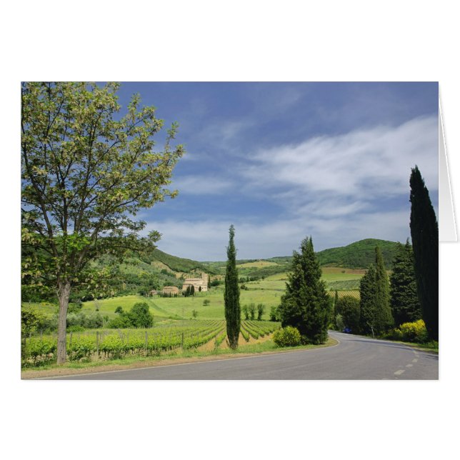 Landstrasse zwischen Zypressen in (Vorderseite (Horizontal))