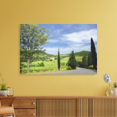 Landstrasse zwischen Zypressen in Leinwanddruck (Insitu (Wohnzimmer))