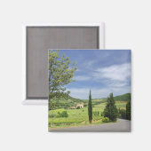 Landstrasse zwischen Zypressen in Magnet (Vorderseite/Rückseite)