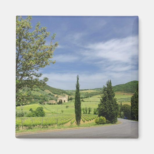 Landstrasse zwischen Zypressen in Magnet (Vorne)