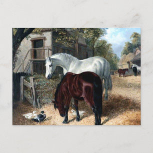 Landszene mit Pferden Postkarte