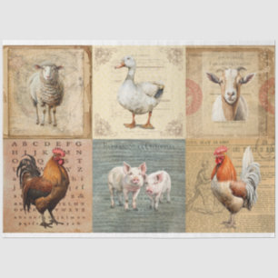 Landtiere 2 in Sammelpapier Seidenpapier