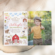 Landtiere Barnyard Birthday Party Foto