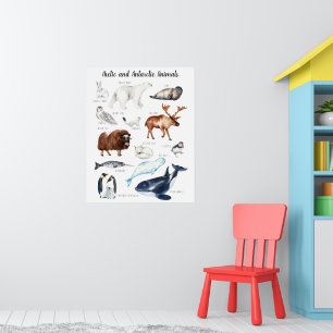 Landtiere   Bildung Lernunterricht Poster