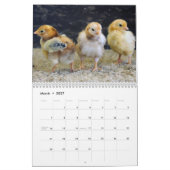 Landtiere Kalender (Mär 2027)