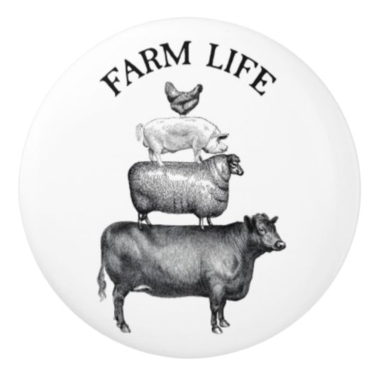 Landtiere Keramikknauf (Vorderseite)