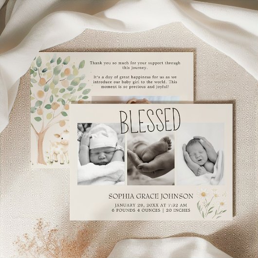 Landtiere Meadow Friends Kinderankündigung Einladung