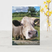 LANDTIERE, NIEDLICHE KUHE KARTE (Gelbe Blume)