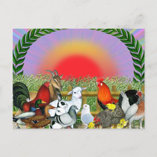 Landtiere Postkarte (Vorderseite)