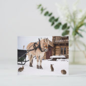 Landtiere reden Pferd und Kaninchen Postkarte (Stehend Vorderseite)