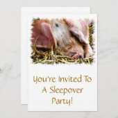 LANDTIERE, SCHWEINE EINLADUNG (Vorne/Hinten)