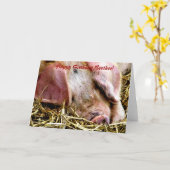 LANDTIERE, SCHWEINE KARTE (Gelbe Blume)